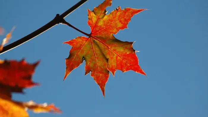 https://storage.ecodibergamo.it/media/photologue/2025/9/21/photos/cache/addio-estate-lunedi-22-settembre-lequinozio-dautunno_b3d584b4-96eb-11f0-84c8-14d58d679e90_v3_large_16_9.webp