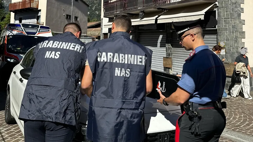 I carabinieri e il reparto dei Nas di Brescia in azione a Castione