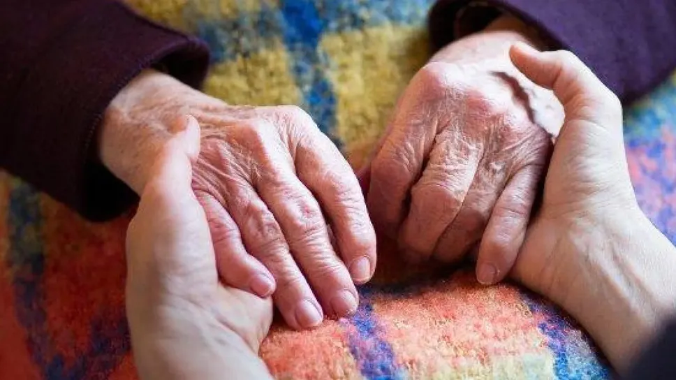 Nel 2024 i datori di lavoro regolari sono diminuiti di un ulteriore 2%, confermando un trend negativo iniziato dopo la pandemia