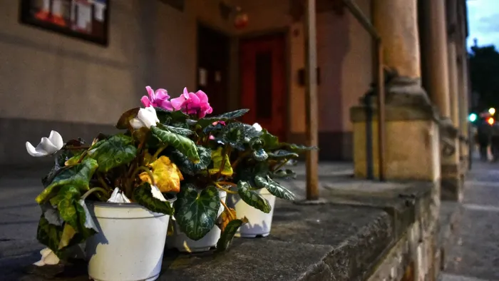 fiori in chiesa per il clochard morto il comune alla ricerca dei parenti