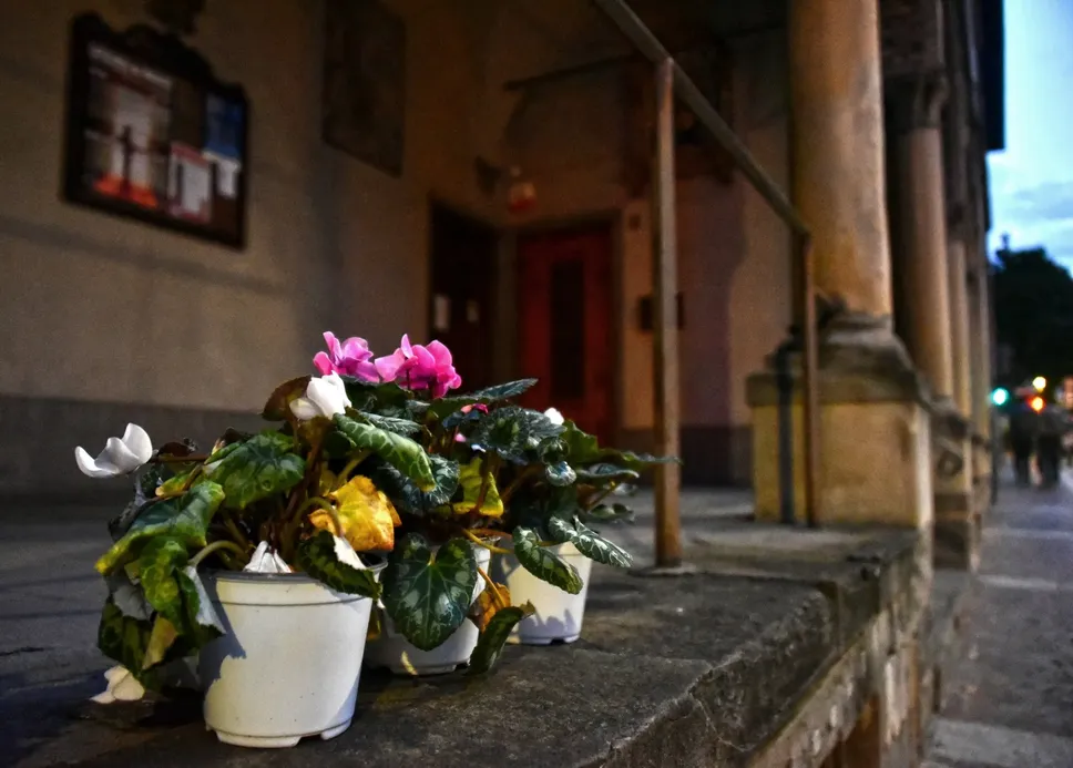 Fiori sul porticato della chiesa di Santa Rita in via Locatelli a Bergamo dove è morto il senzatetto Dadrah Manjinder