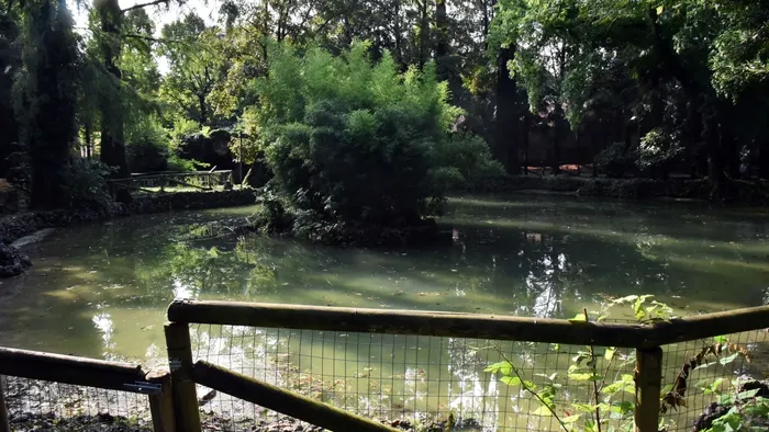 Immersioni forestali gratuite al Parco Marenzi: benessere nella natura ogni mercoledì di ottobre