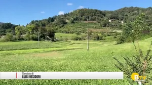 Via libera al nuovo scolmatore in Valverde