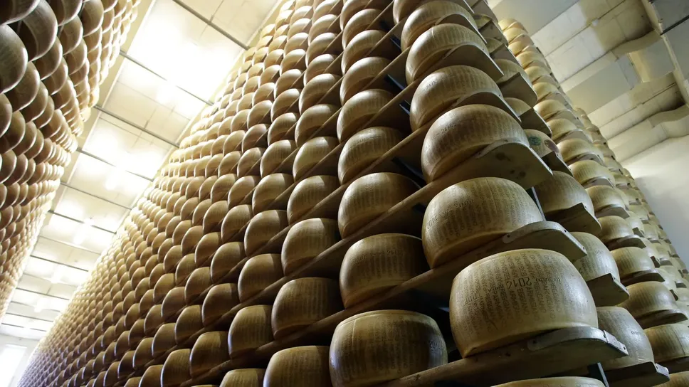 L’Italia esporta negli Stati Uniti circa 200.000 forme all’anno di grana e parmigiano L’Italia esporta negli Stati Uniti circa 200.000 forme all’anno di grana e parmigiano