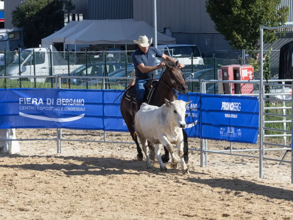 Alla Fiera Sant’Alessandro