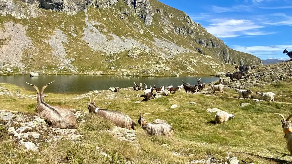 Relax ad alta quota