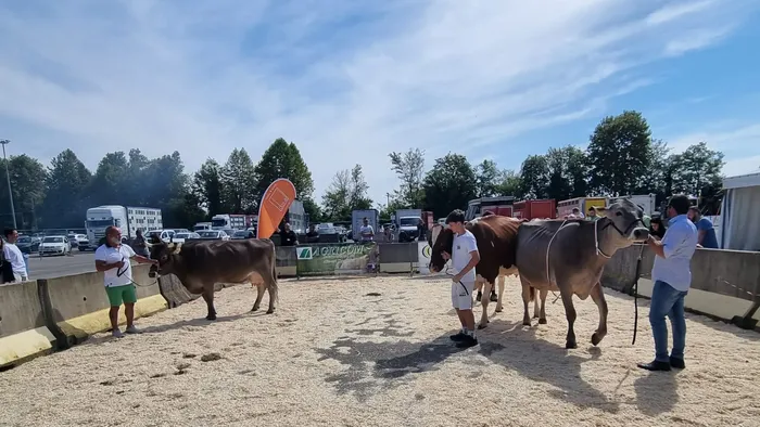 https://storage.ecodibergamo.it/media/photologue/2025/9/7/photos/cache/giornata-di-chiusura-fiera-di-santalessandro-tra-eventi-e-premiazioni_8612f4c4-8bda-11f0-bb73-e14b66d64ae4_1920_1080_v3_large_16_9.webp