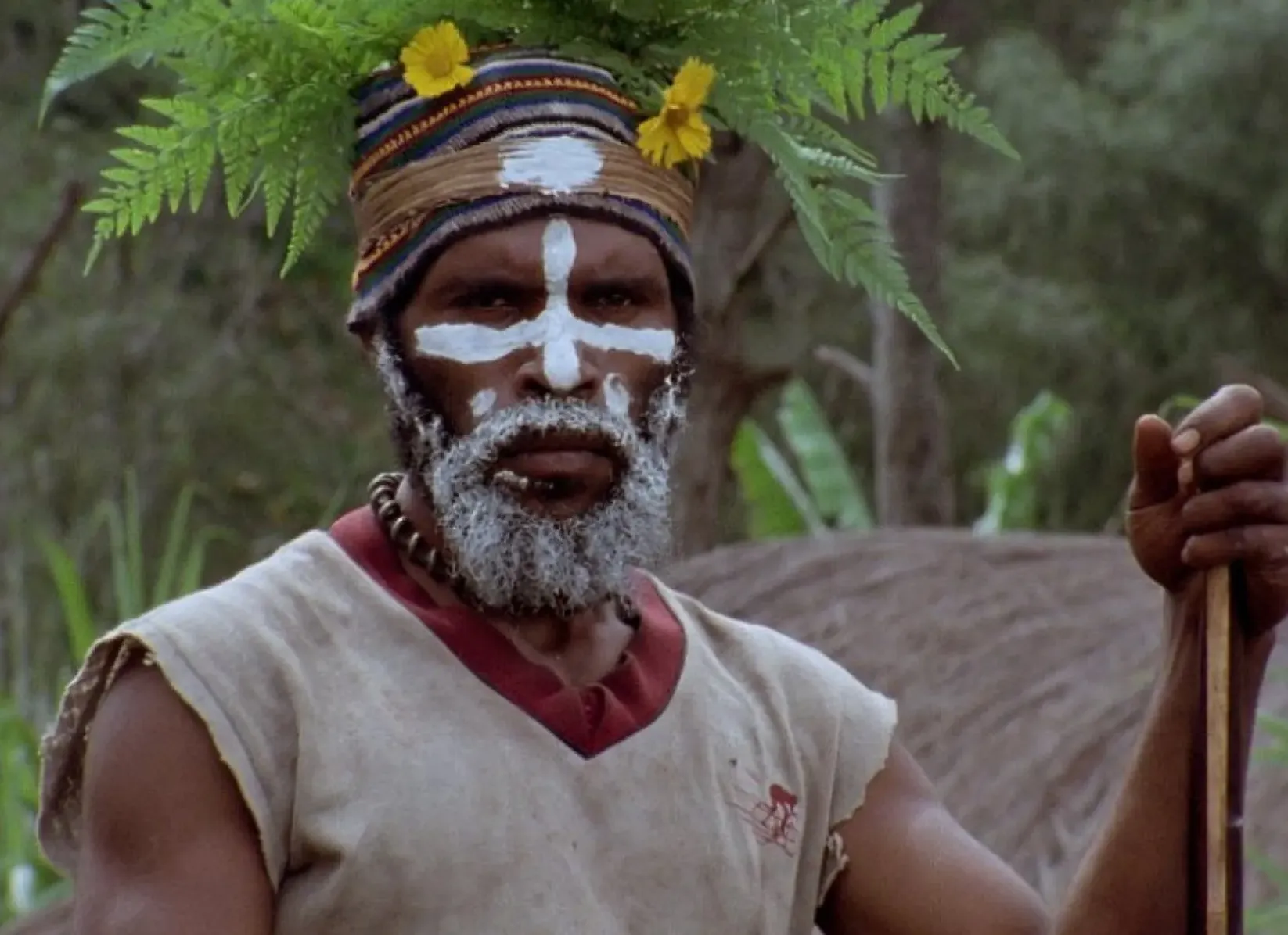 Joe Leahy’s Neighbours