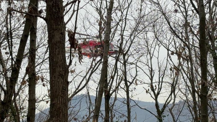 muore schiacciato dalla pianta che stava tagliando tragedia a nembro