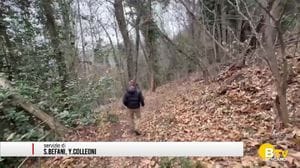 Tragedia a Nembro. Un uomo è morto schiacciato dalla pianta che stava tagliando