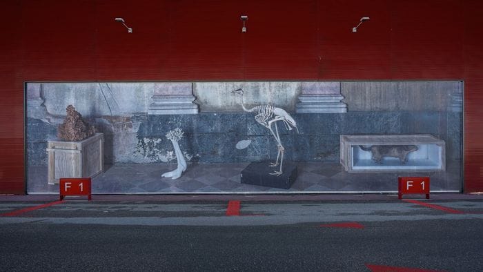 animali urbani il territorio rivisto con gli occhi dell8217arte