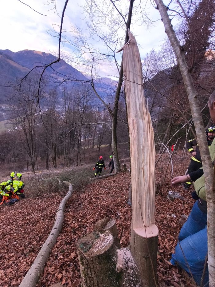 L’intervento dei soccorsi ad Ardesio dove un giovane si è infortunato ad una gamba, investito dall’albero che stava tagliando
