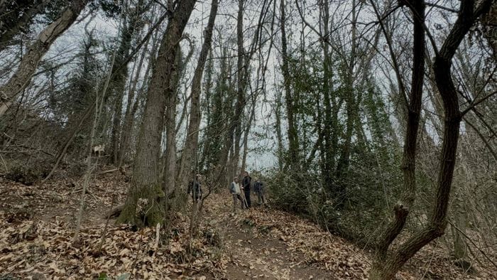 nembro muore travolto dall8217albero che tagliava l8217amico io schivato destino beffardo da Ecodibergamo.it nembro muore travolto dall8217albero che tagliava l8217amico io schivato destino beffardo