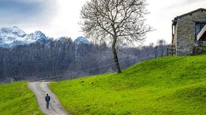 Immagine per 8f2074c6-f22b-11f0-b73f-a70946a41a27