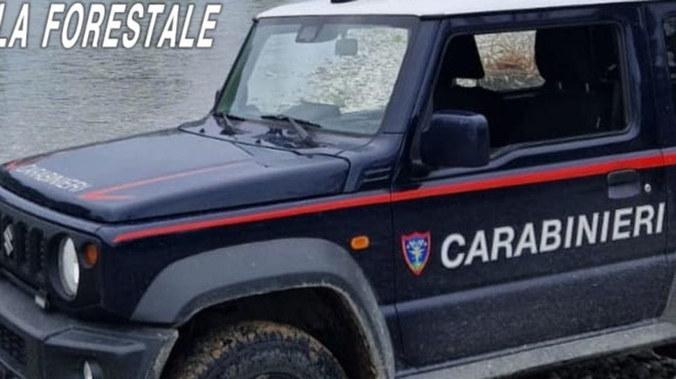 Un’auto dei carabinieri forestali in una foto d’archivio