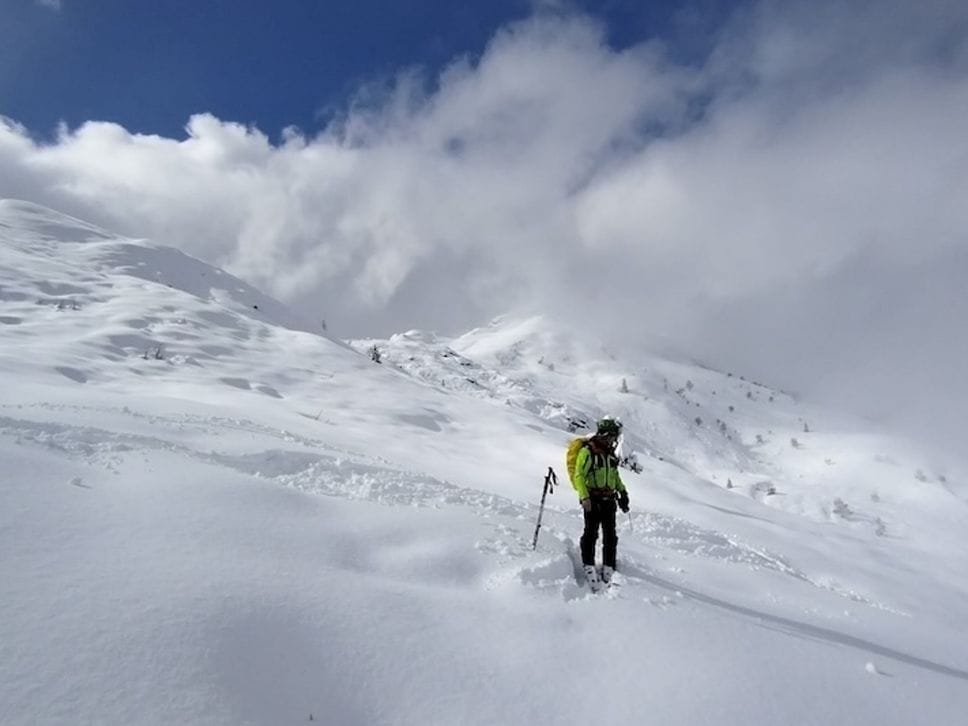Presenza fondamentale nei mesi invernali