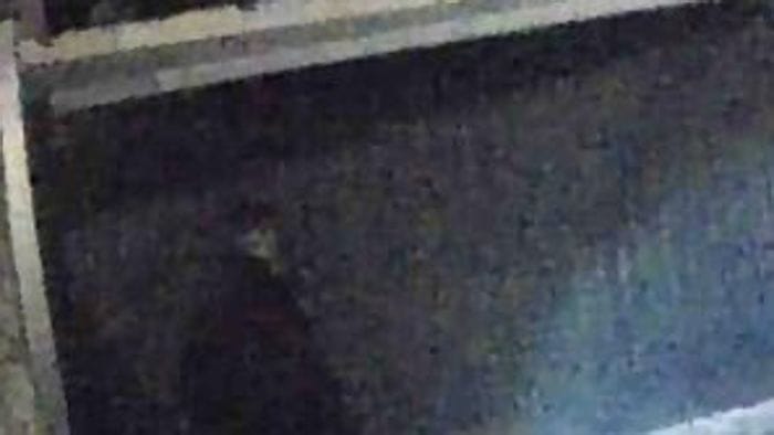 tenta il furto in pieno centro si accende la telecamera e scappa