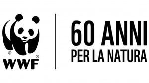 Immagine per 3480c9f8-f6d1-11f0-8d3e-620ee5e43c82