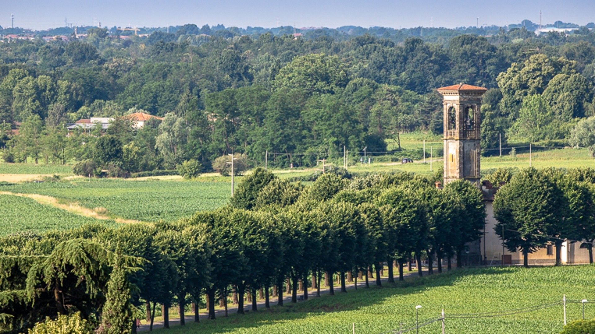 Il viale alberato che conduce al Santuario di Prada