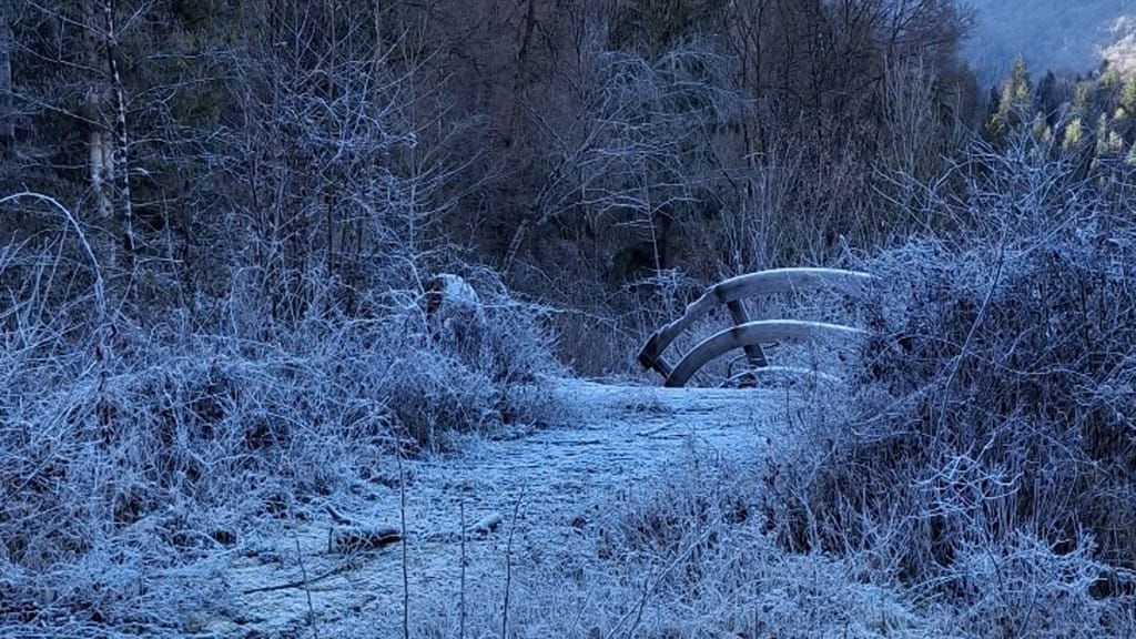(Foto di Mari Foieni)
