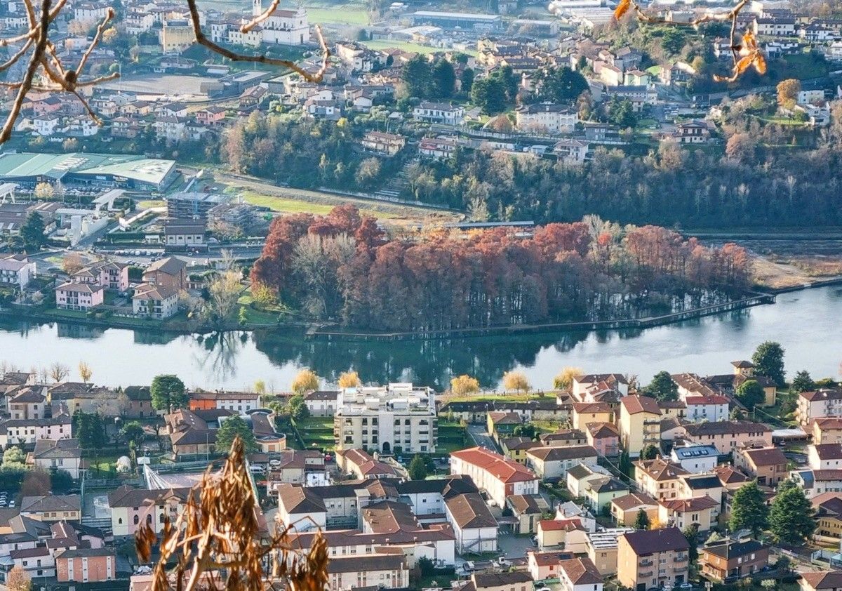 Il bosco di Taxodium di Paratico