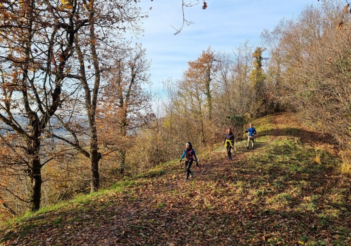 Lungo il sentiero 701 verso la Forcella