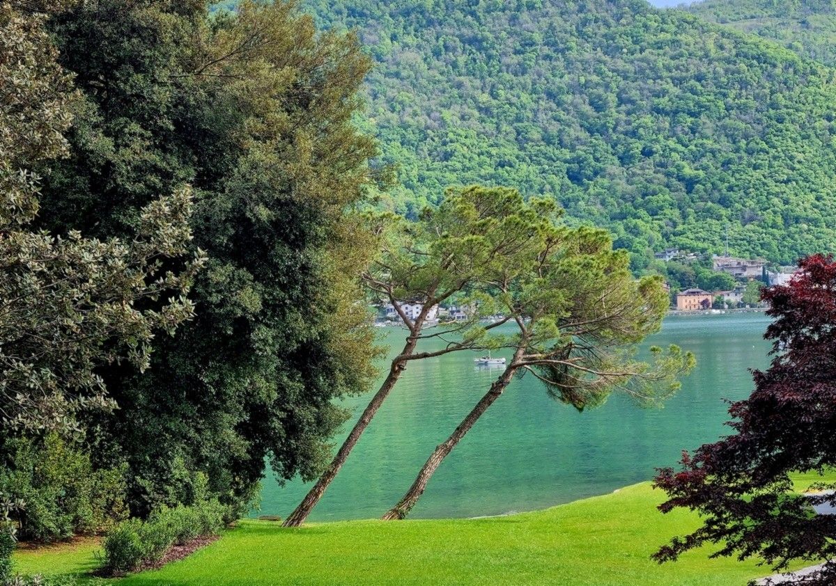 Prospettive dalla pista ciclabile
