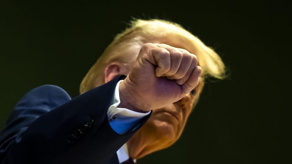 Donald Trump, presidente degli Stati Uniti d’America