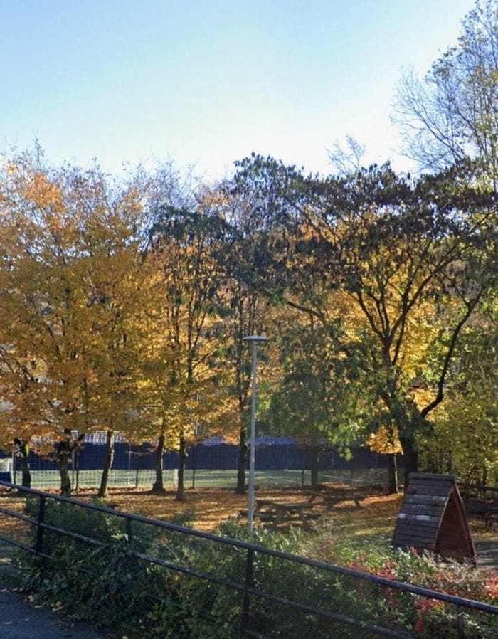 L’area prima dell’abbattimento dei cinque carpini