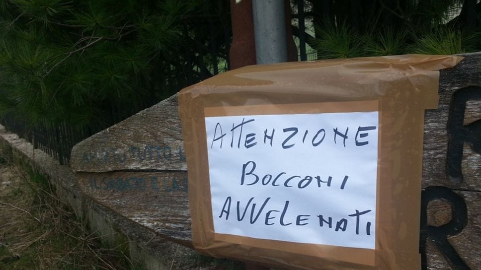 Bocconi avvelenati segnalati ad Albano, qui un cartello in una foto di repertorio