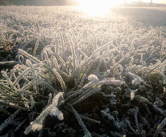 La galaverna ieri mattina tra Verdello e Levate