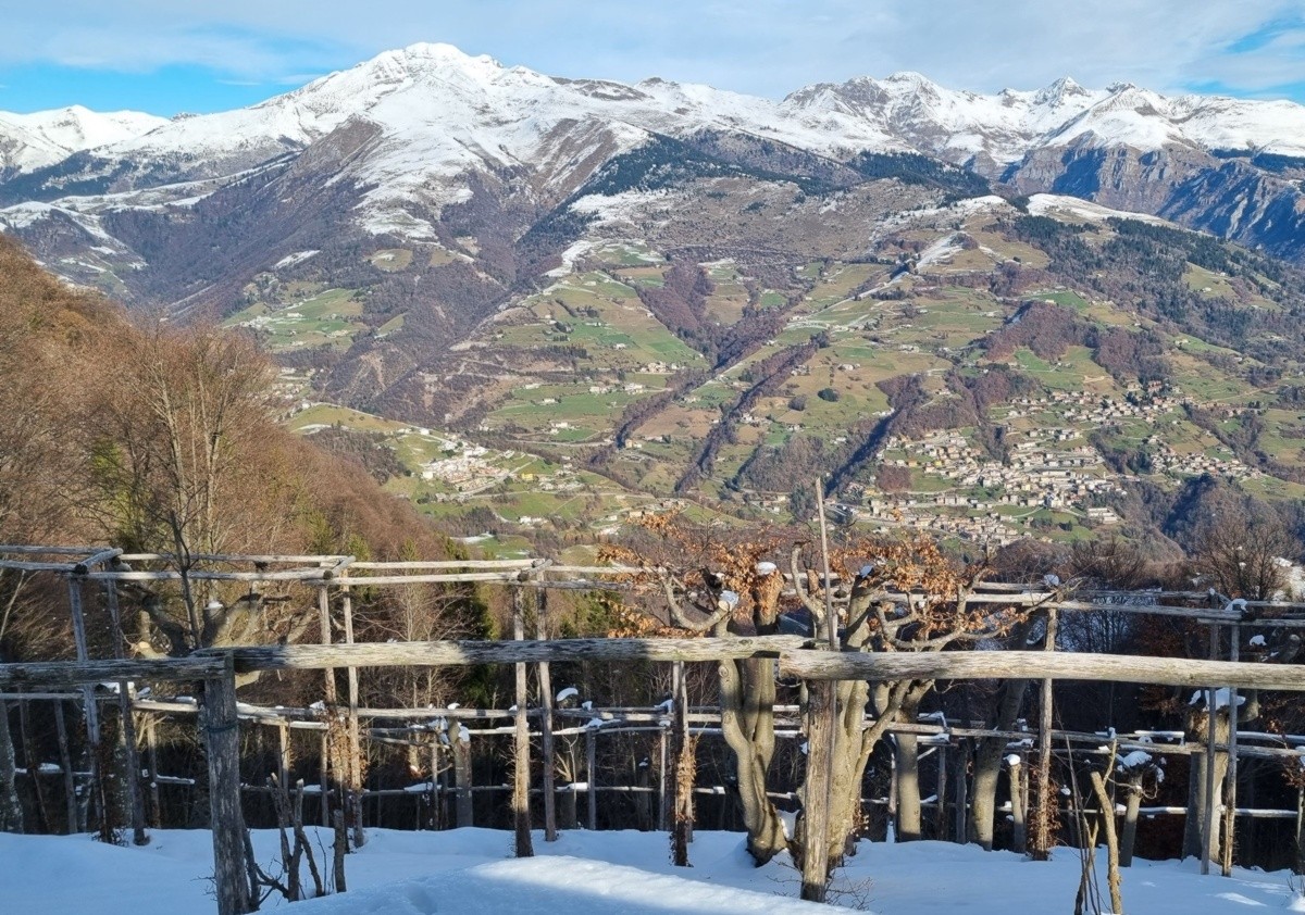 Panorama su Arera e val del Riso dal roccolo di Cavlera