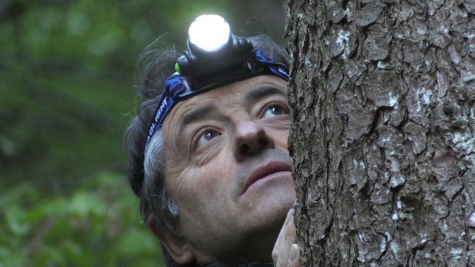 Il fotografo Baldovino Midali in uno dei suoi appostamenti