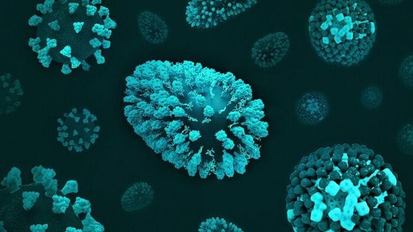 C'è un legame tra microbioma e tumori, trovate firme di 341 batteri