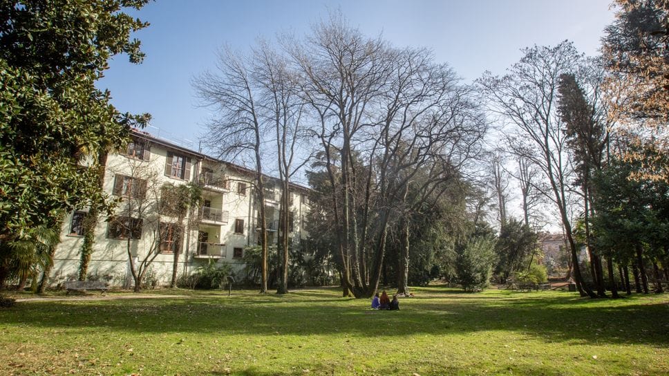 «Immersioni forestali» nei parchi di Bergamo: la seconda edizione