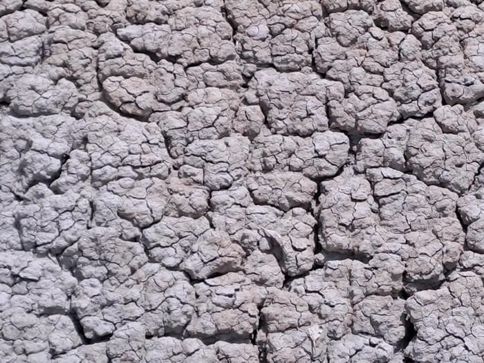 Agricoltura, a Siena incontro su 'Acqua piovana, bene prezioso'