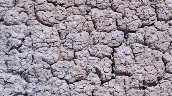 Agricoltura, a Siena incontro su 'Acqua piovana, bene prezioso'