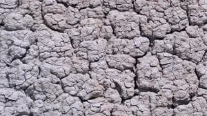 Agricoltura, a Siena incontro su 'Acqua piovana, bene prezioso'