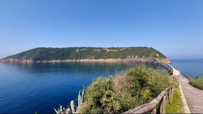 Riserva di Vivara, nuova convenzione con il Ministero dell'Ambiente