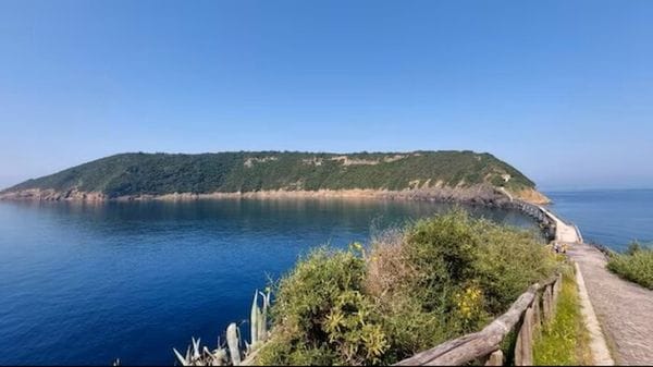 Riserva di Vivara, nuova convenzione con il Ministero dell'Ambiente