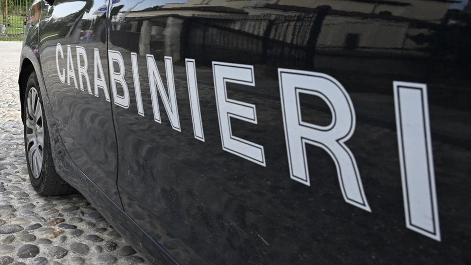 Cani antidroga alle scuole medie di Ghisalba: trovato hashish a un 13enne