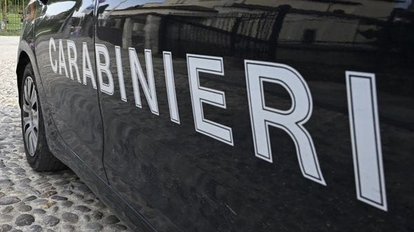 Cani antidroga alle scuole medie di Ghisalba: trovato hashish a un 13enne