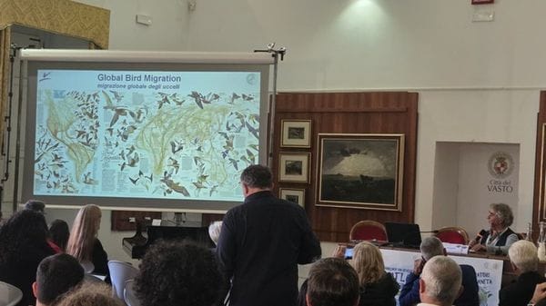 In arrivo l'Atlante delle migrazioni animali per contrastare estinzioni