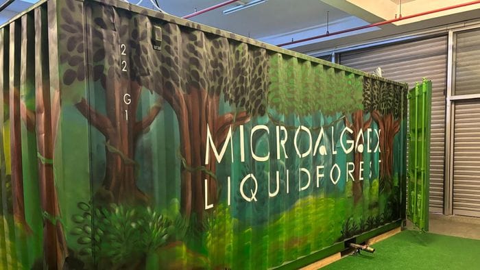La sfida bergamasca: estrarre ossigeno dalle microalghe