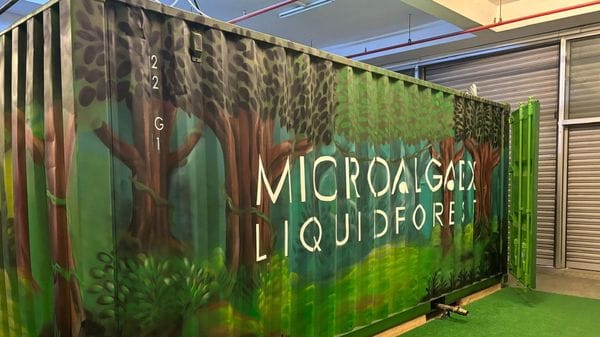 La sfida bergamasca: estrarre ossigeno dalle microalghe