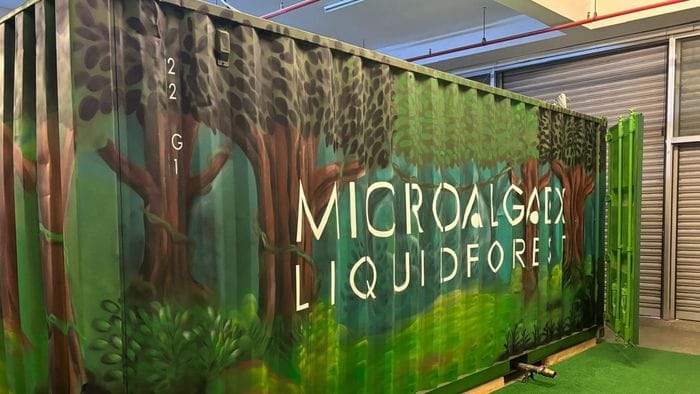 la sfida bergamasca estrarre ossigeno dalle microalghe da Ecodibergamo.it la sfida bergamasca estrarre ossigeno dalle microalghe