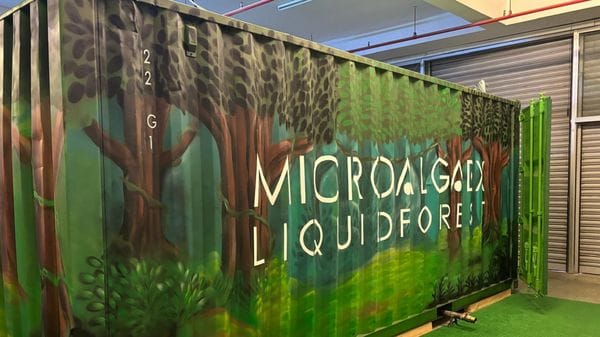La sfida bergamasca: estrarre ossigeno dalle microalghe