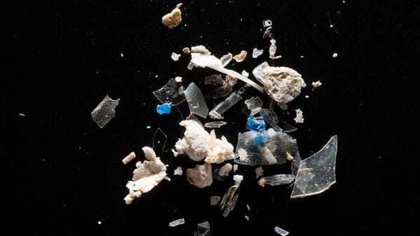Le microplastiche a contatto con l'acqua generano molecole dannose