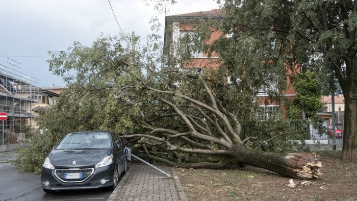 bergamo paga il conto di una stagione estrema da Ecodibergamo.it bergamo paga il conto di una stagione estrema