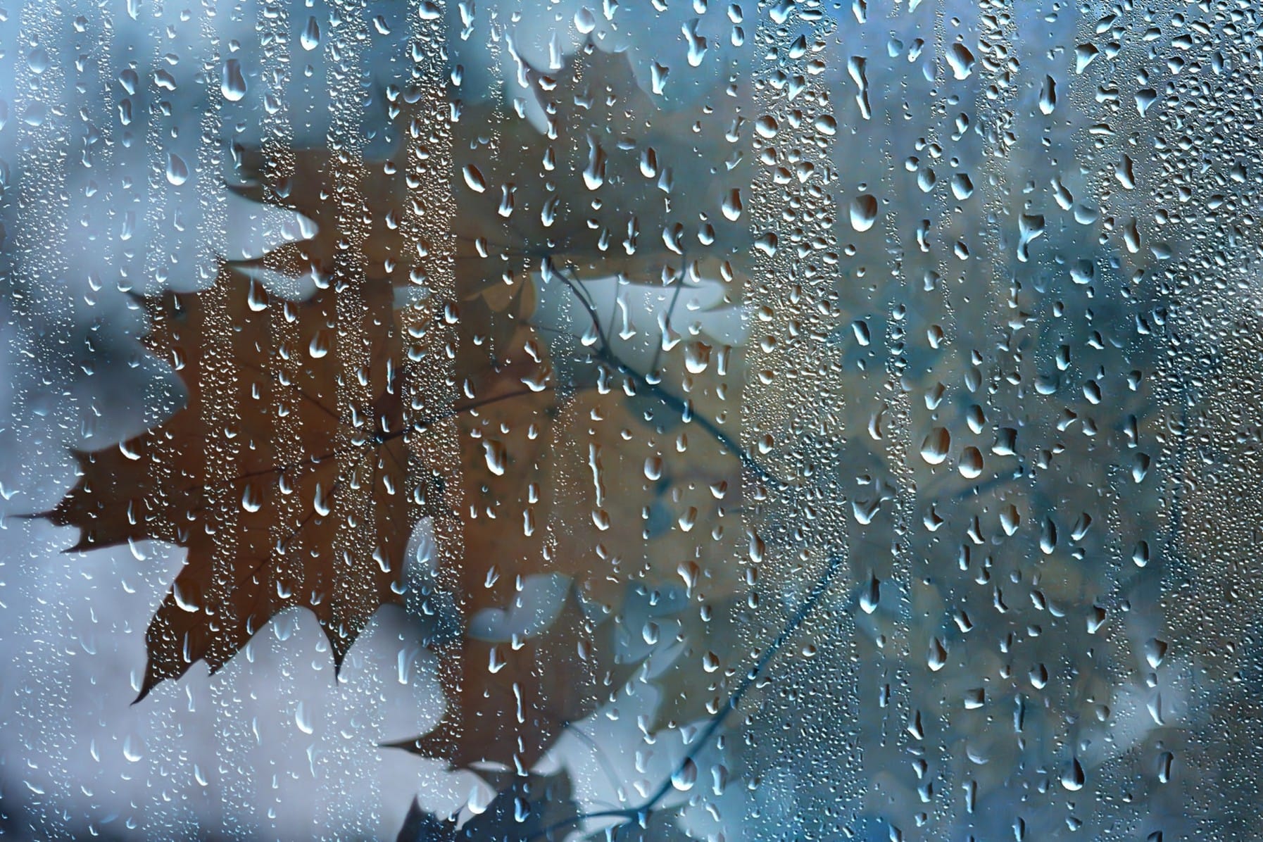 Cosa ascoltare in autunno tra melanconia, amori e atmosfere intime